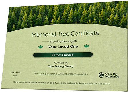 Plant Trees in Memory of Malcolm Laborn